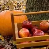 DuBois Farms Pick-Your-Own photo