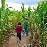 DuBois Farms Pick-Your-Own photo