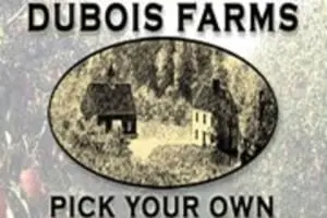 DuBois Farms Pick-Your-Own