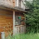 Milburn's Haunted Manor photo