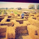 U Pick Red Barn photo