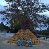 U Pick Red Barn photo