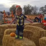 U Pick Red Barn photo