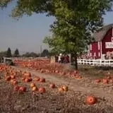U Pick Red Barn photo