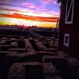 U Pick Red Barn photo