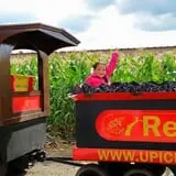 U Pick Red Barn photo