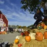 U Pick Red Barn photo