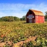 U Pick Red Barn photo