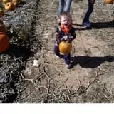 U Pick Red Barn photo