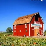 U Pick Red Barn photo