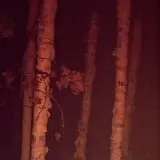 Manistee's Ghost Ship photo