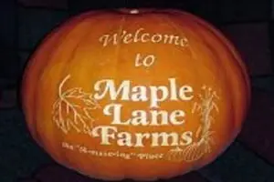 Maple Lane Farms Haunted Corn Maze