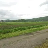 Godlewsky Farms photo