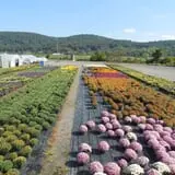 Godlewsky Farms photo