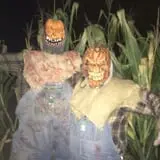 The Haunt at Cottonwood Forest photo