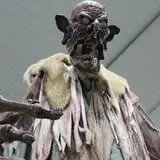 The Haunt at Cottonwood Forest photo
