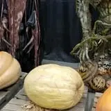 The Haunt at Cottonwood Forest photo