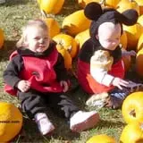 Conway Scenic Railroad Pumpkin Patch Express photo