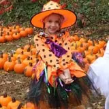 Conway Scenic Railroad Pumpkin Patch Express photo