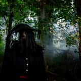 The Hollows at Brookdale Farms photo