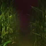 The Hollows at Brookdale Farms photo