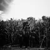 The Hollows at Brookdale Farms photo