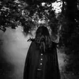 The Hollows at Brookdale Farms photo