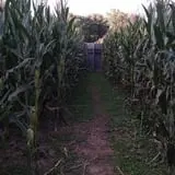 The Hollows at Brookdale Farms photo