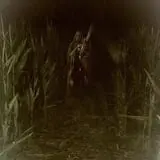 The Hollows at Brookdale Farms