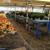 B & F Vegetables photo