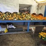 B & F Vegetables photo