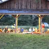 Ocoee Valley Farms Fall Festival & River Maze photo