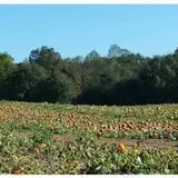 Ocoee Valley Farms Fall Festival & River Maze photo