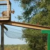 Ocoee Valley Farms Fall Festival & River Maze photo