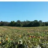Ocoee Valley Farms Fall Festival & River Maze photo