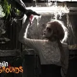 Wisconsin Fear Grounds photo