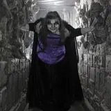 Wisconsin Fear Grounds photo