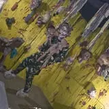 Wisconsin Fear Grounds photo