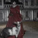 Wisconsin Fear Grounds photo