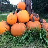 Sanderson Gardens photo