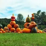 Sanderson Gardens photo