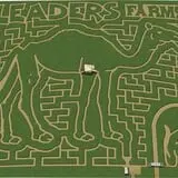 Leaders Farms Corn Maze photo