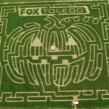 Leaders Farms Corn Maze photo
