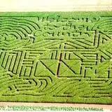Leaders Farms Corn Maze photo