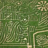 Leaders Farms Corn Maze photo