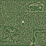 Leaders Farms Corn Maze photo