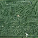 Leaders Farms Corn Maze photo