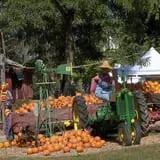 Eagle Fork Farms Pumpkins & Gifts photo