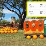 Eagle Fork Farms Pumpkins & Gifts photo