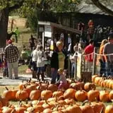 Eagle Fork Farms Pumpkins & Gifts photo